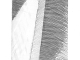 Szkic 10